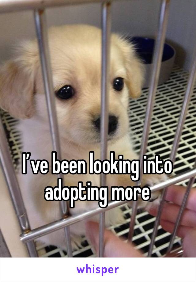 I’ve been looking into adopting more 