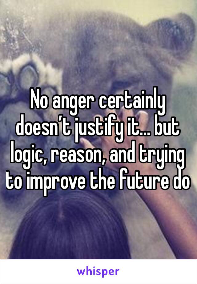 No anger certainly doesn’t justify it... but logic, reason, and trying to improve the future do