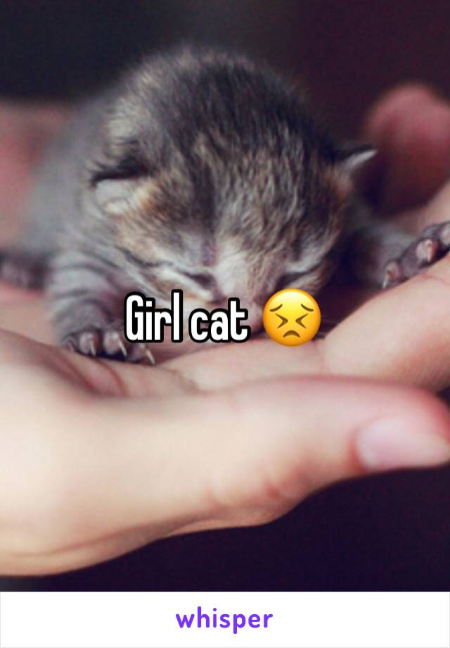 Girl cat 😣