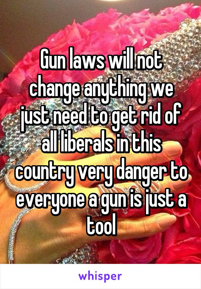 Gun laws will not change anything we just need to get rid of all liberals in this country very danger to everyone a gun is just a tool