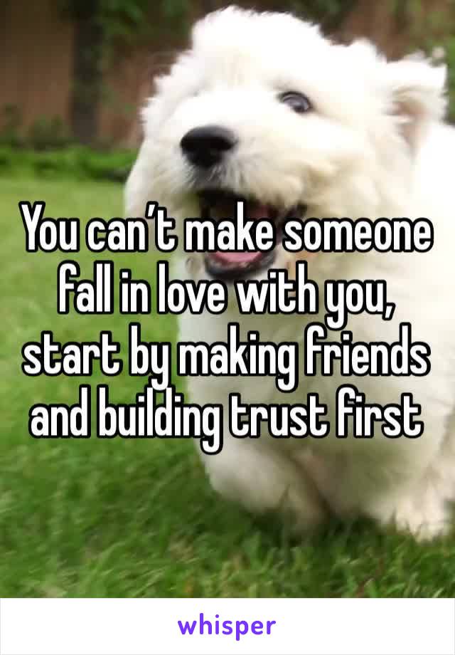 You can’t make someone fall in love with you, start by making friends and building trust first 