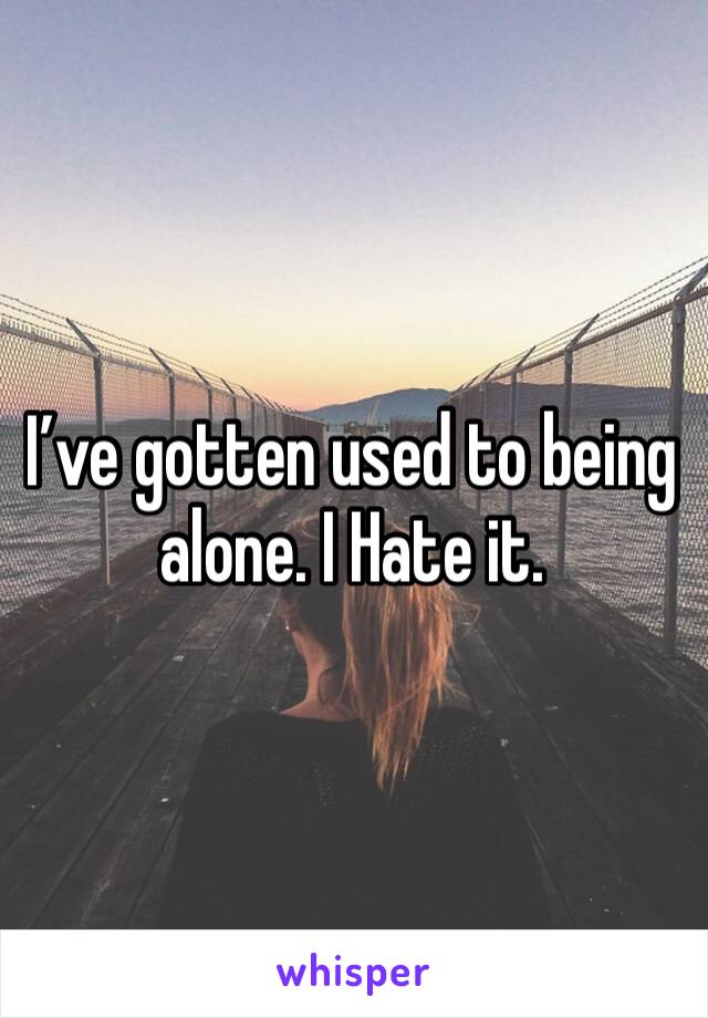 I’ve gotten used to being alone. I Hate it.