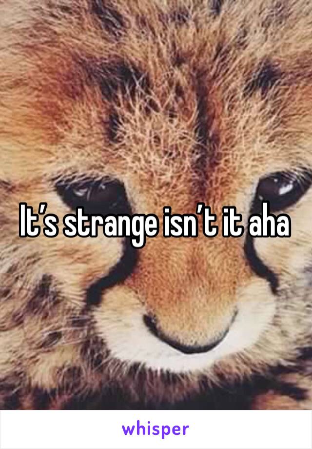 It’s strange isn’t it aha
