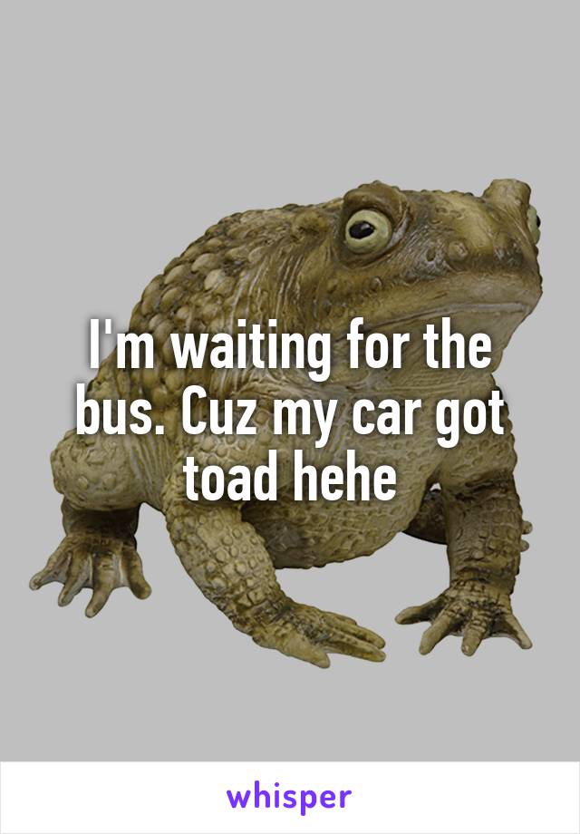 I'm waiting for the bus. Cuz my car got toad hehe
