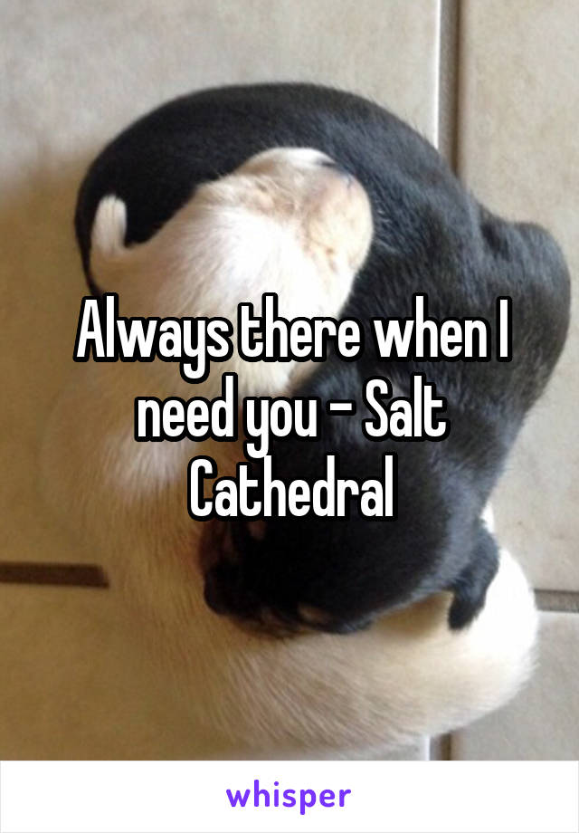 Always there when I need you - Salt Cathedral