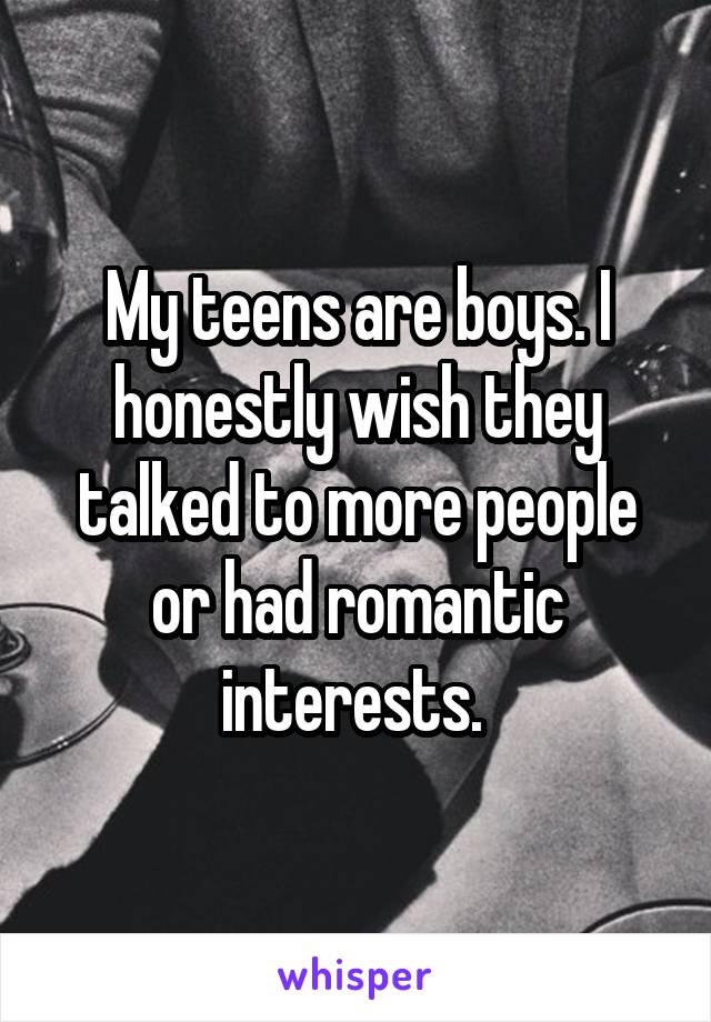 My teens are boys. I honestly wish they talked to more people or had romantic interests. 