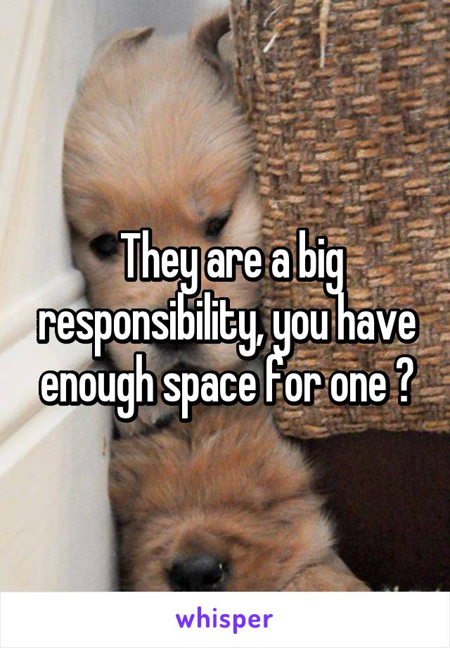  They are a big responsibility, you have enough space for one ?