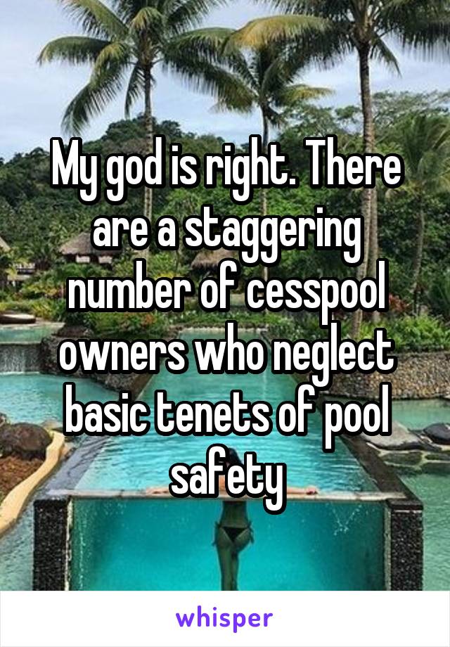 My god is right. There are a staggering number of cesspool owners who neglect basic tenets of pool safety