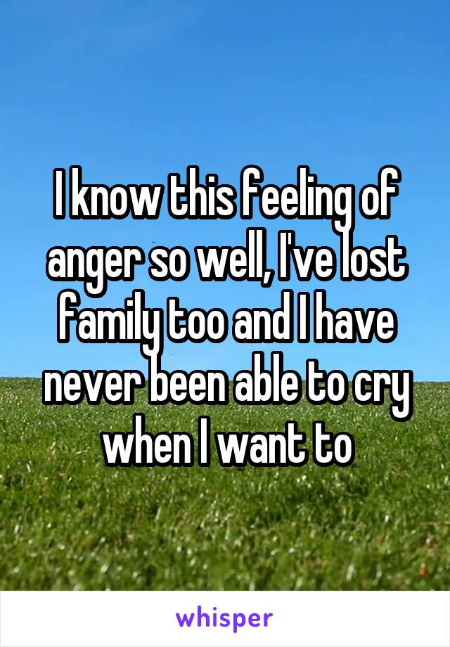 I know this feeling of anger so well, I've lost family too and I have never been able to cry when I want to