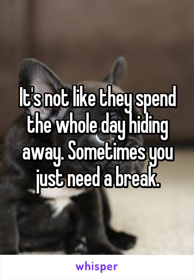 It's not like they spend the whole day hiding away. Sometimes you just need a break.