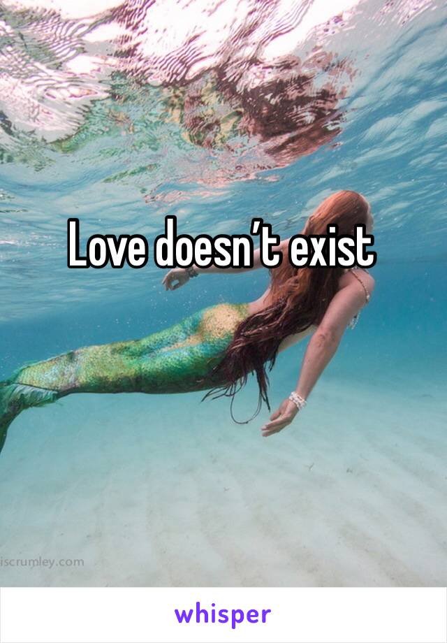 Love doesn’t exist 