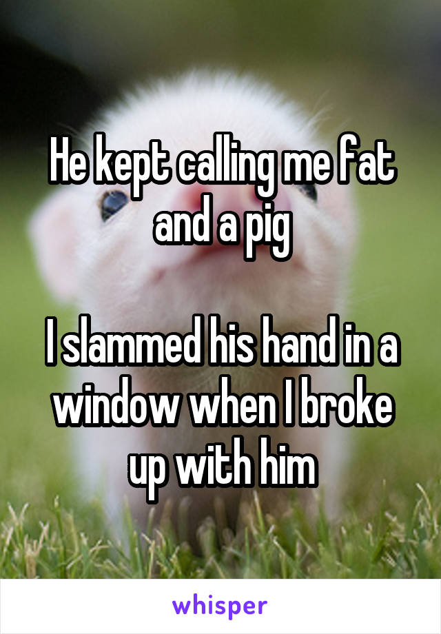 He kept calling me fat and a pig

I slammed his hand in a window when I broke up with him