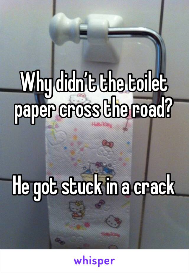 Why didn’t the toilet paper cross the road? 


He got stuck in a crack 