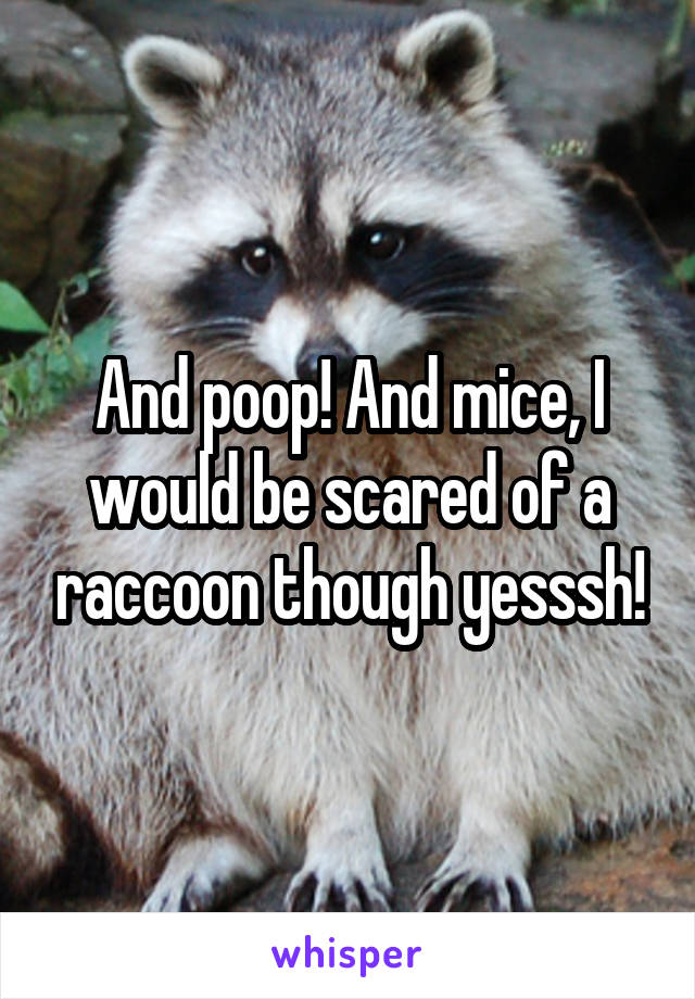 And poop! And mice, I would be scared of a raccoon though yesssh!