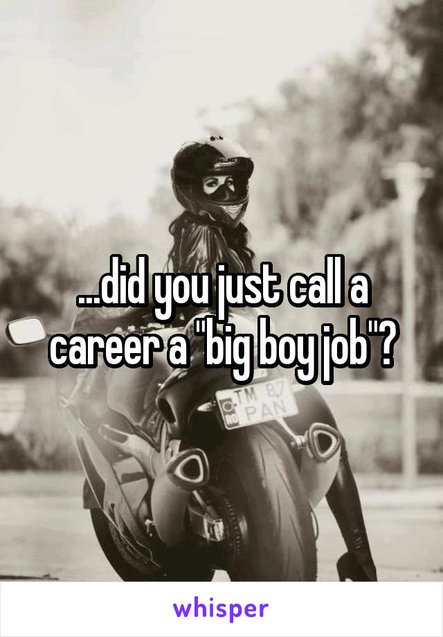 ...did you just call a career a "big boy job"?