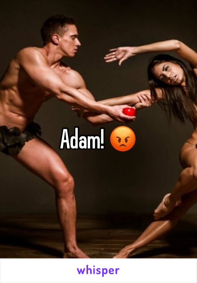Adam! 😡