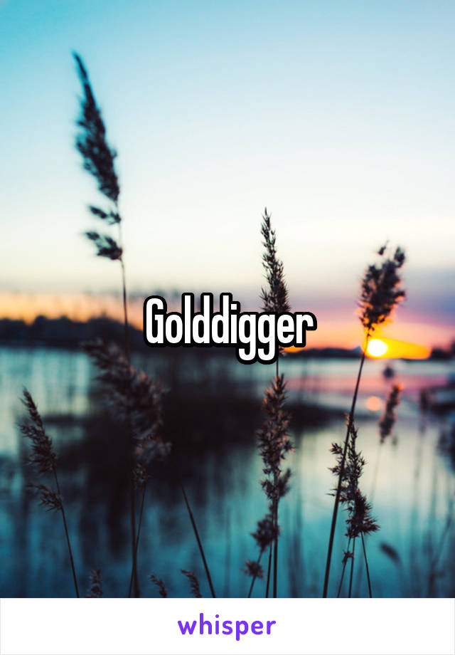 Golddigger