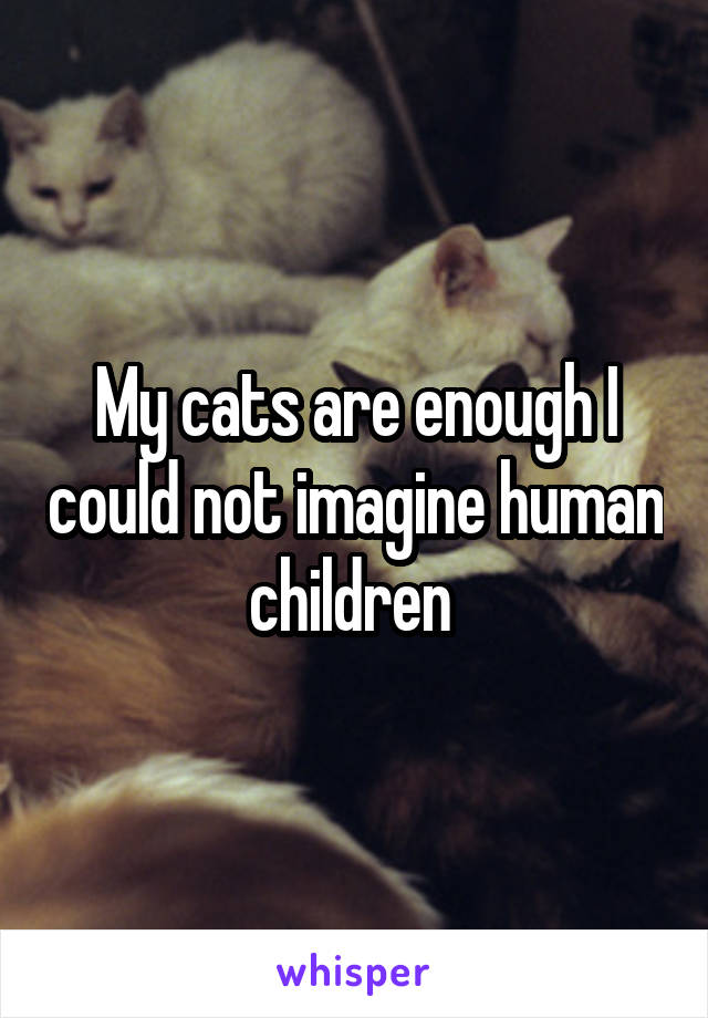 My cats are enough I could not imagine human children 