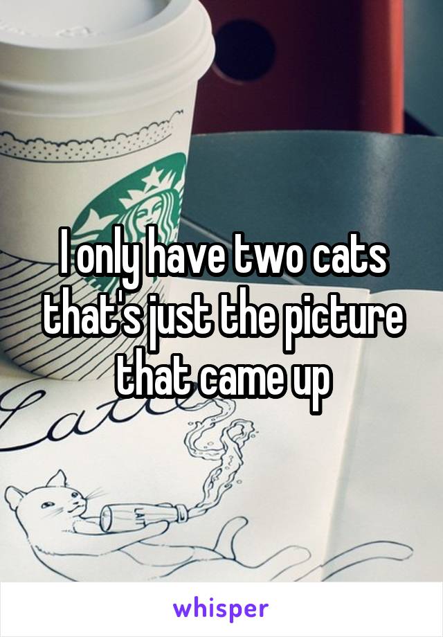 I only have two cats that's just the picture that came up