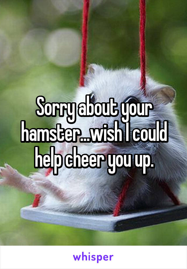 Sorry about your hamster...wish I could help cheer you up.