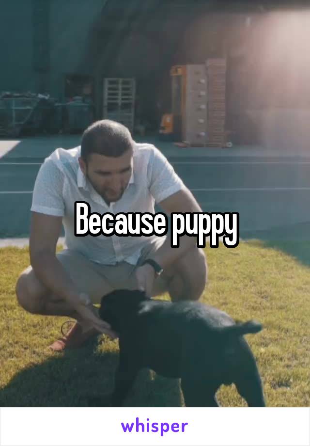 Because puppy