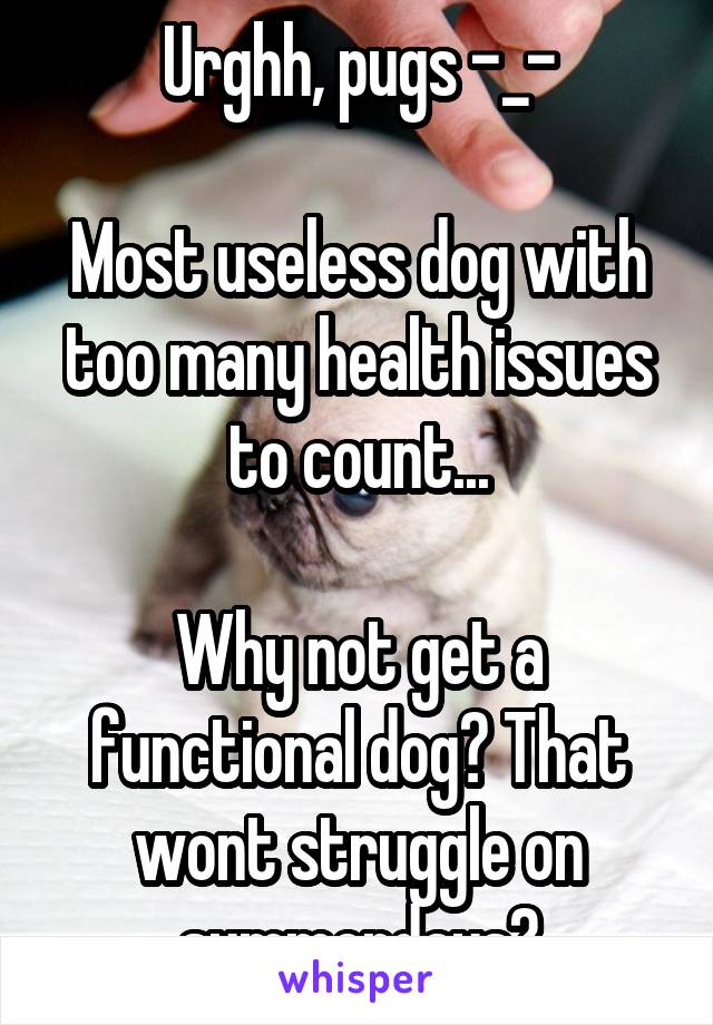 Urghh, pugs -_-

Most useless dog with too many health issues to count...

Why not get a functional dog? That wont struggle on summerdays?