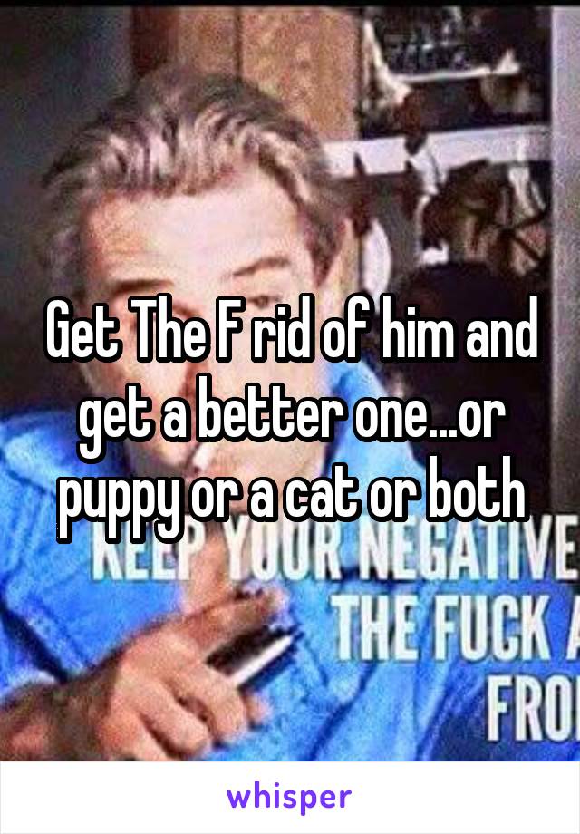 Get The F rid of him and get a better one...or puppy or a cat or both