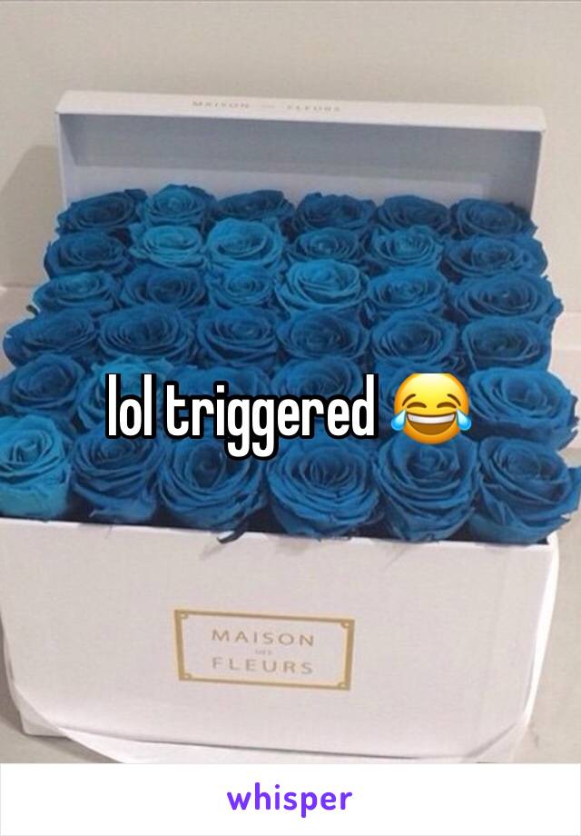 lol triggered 😂