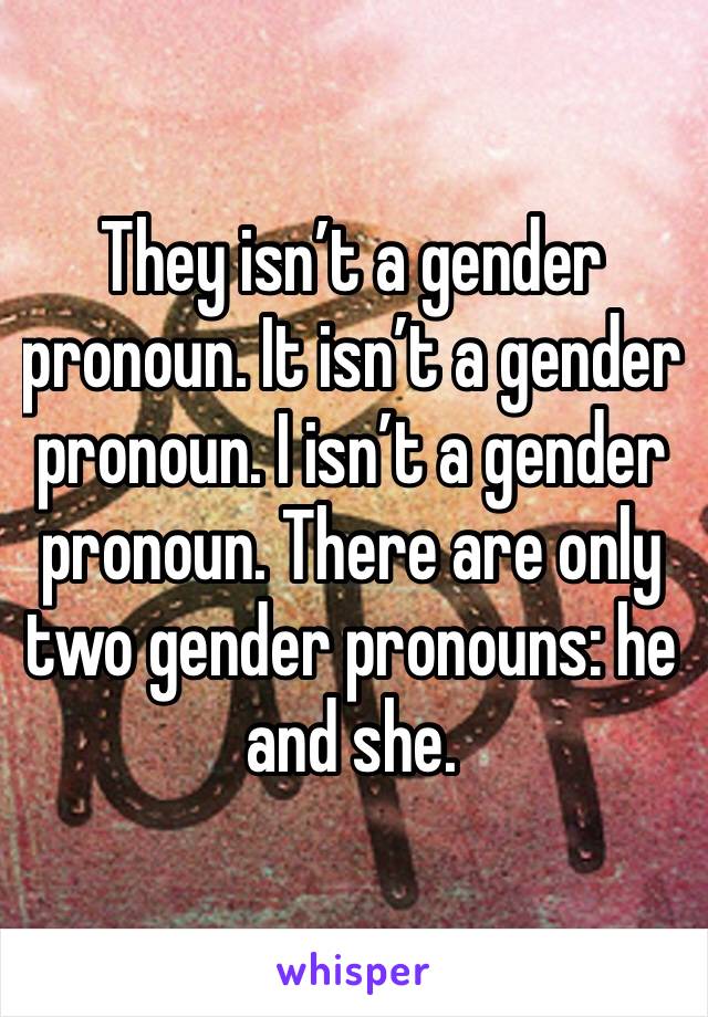 They isn’t a gender pronoun. It isn’t a gender pronoun. I isn’t a gender pronoun. There are only two gender pronouns: he and she.