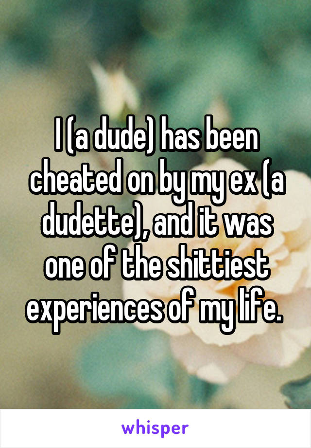 I (a dude) has been cheated on by my ex (a dudette), and it was one of the shittiest experiences of my life. 