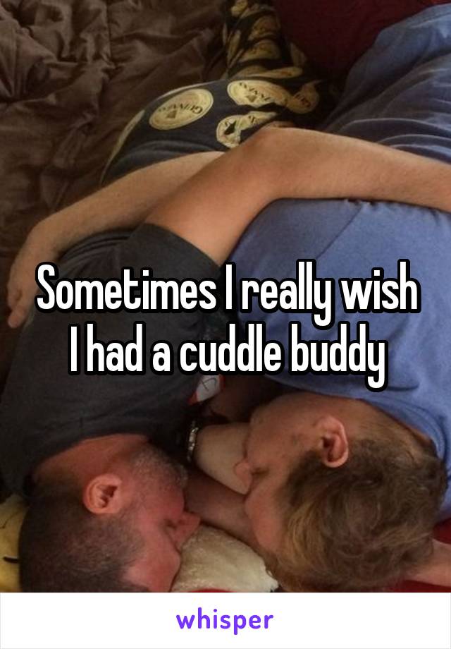 Sometimes I really wish I had a cuddle buddy