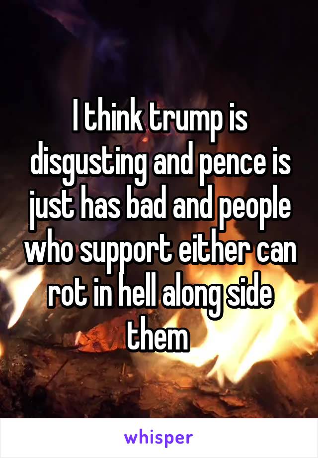I think trump is disgusting and pence is just has bad and people who support either can rot in hell along side them 