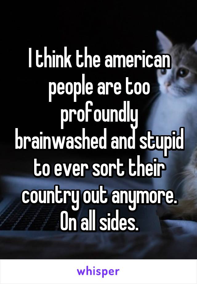 I think the american people are too profoundly brainwashed and stupid to ever sort their country out anymore. On all sides.