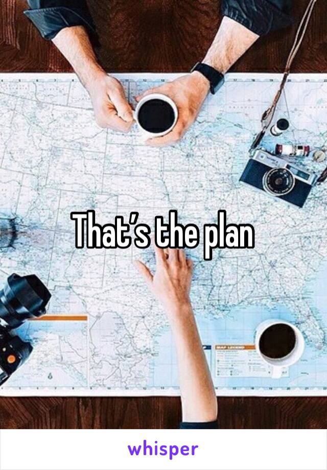 That’s the plan 