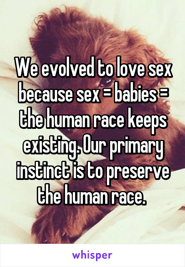 We evolved to love sex because sex = babies = the human race keeps existing. Our primary instinct is to preserve the human race. 