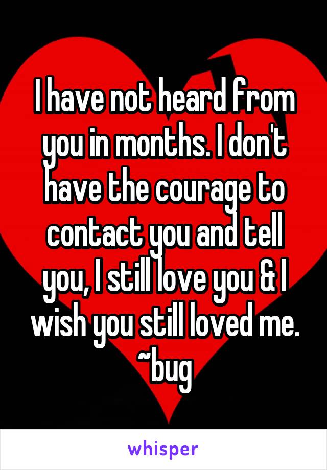 I have not heard from you in months. I don't have the courage to contact you and tell you, I still love you & I wish you still loved me.
~bug
