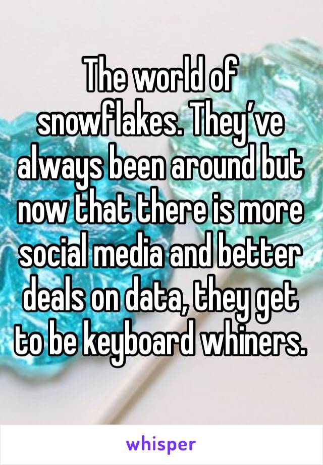 The world of snowflakes. They’ve always been around but now that there is more social media and better deals on data, they get to be keyboard whiners. 
