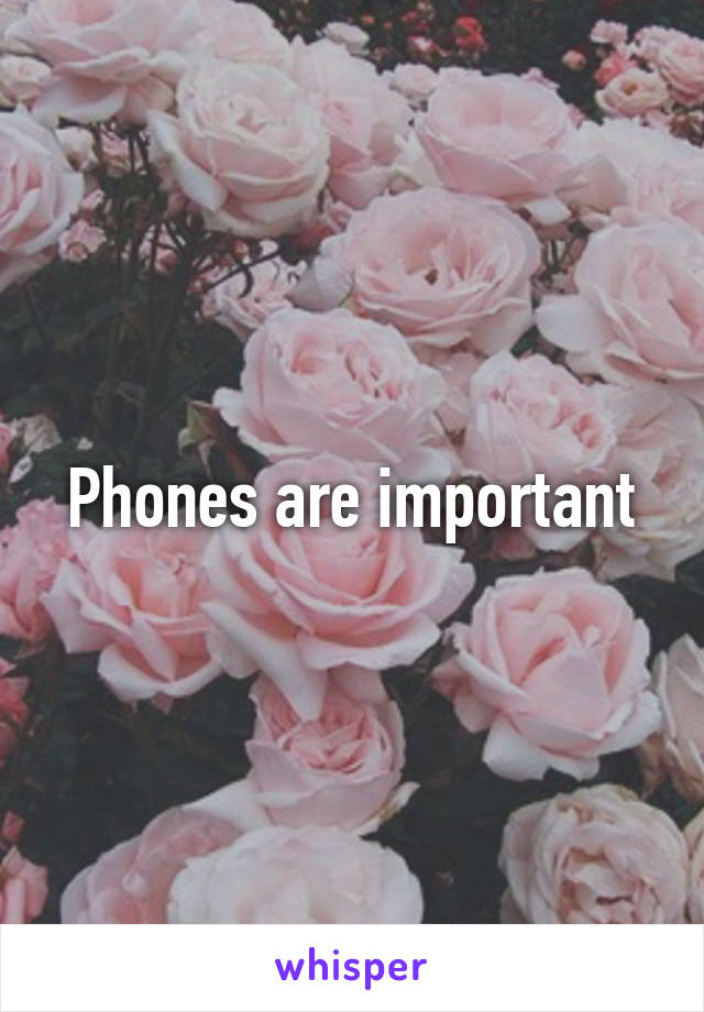 Phones are important