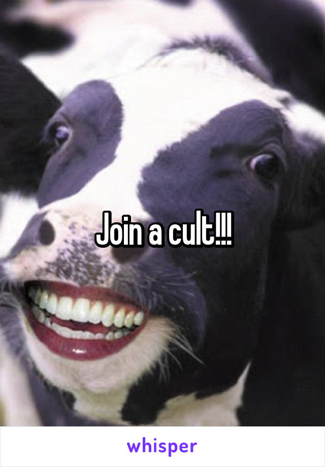 Join a cult!!!