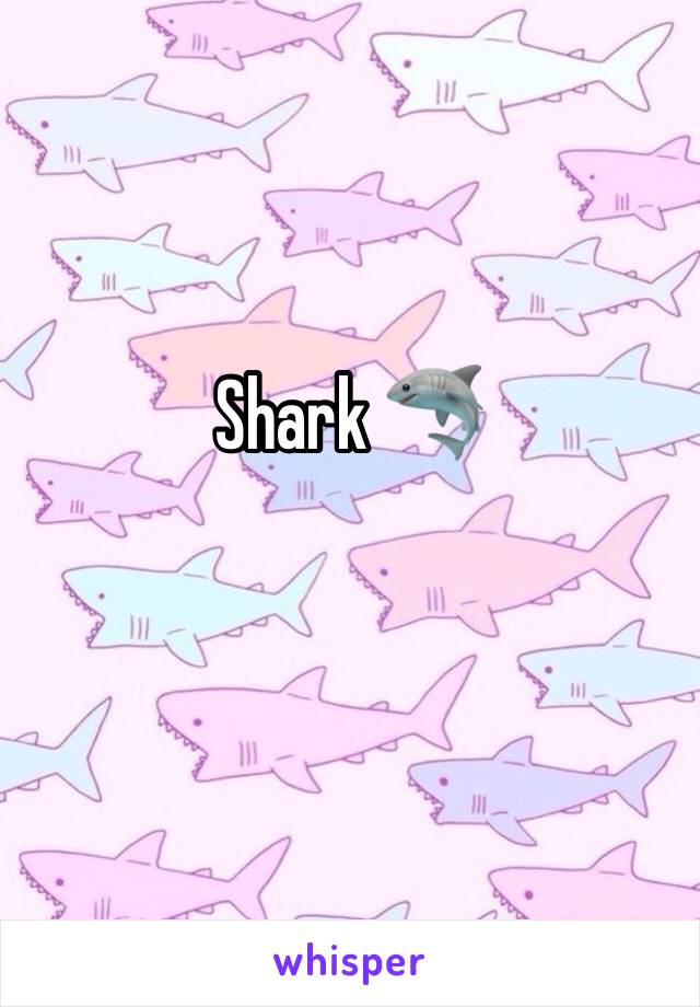 Shark 🦈 