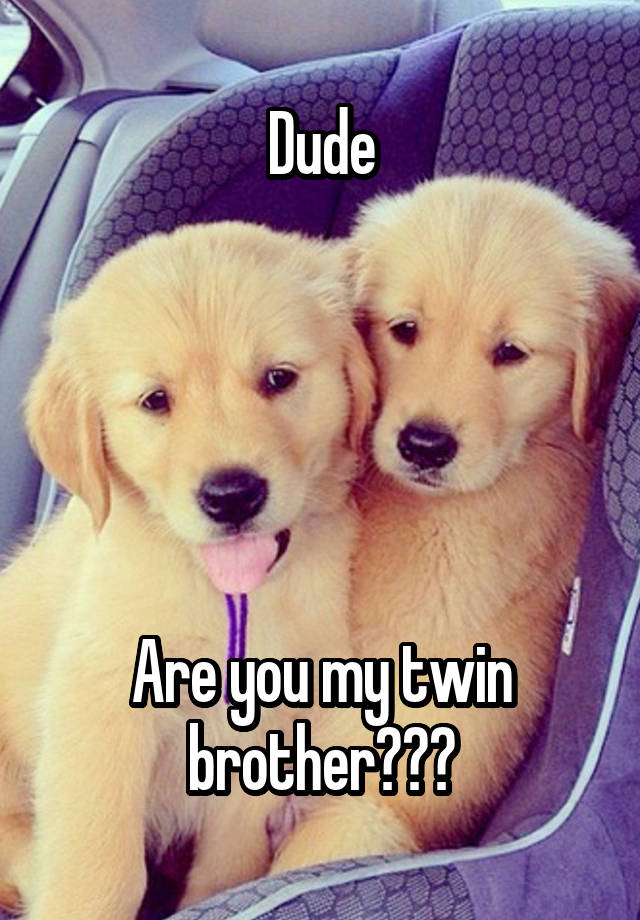 dude-are-you-my-twin-brother