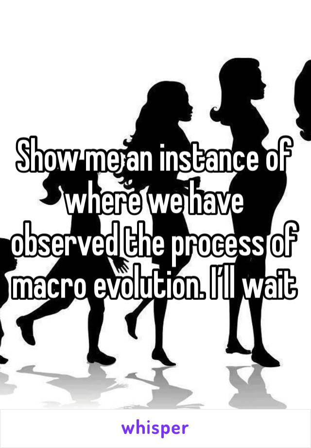 Show me an instance of where we have observed the process of macro evolution. I’ll wait