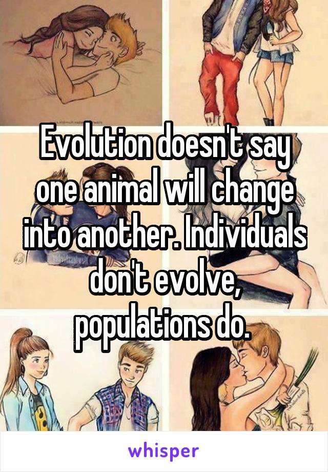 Evolution doesn't say one animal will change into another. Individuals don't evolve, populations do. 
