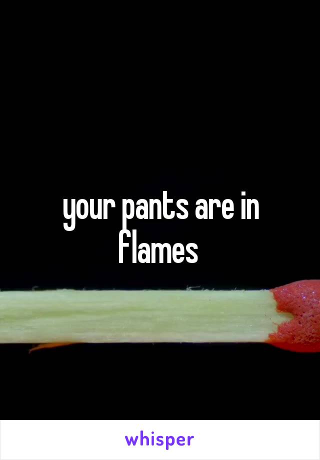 your pants are in flames 