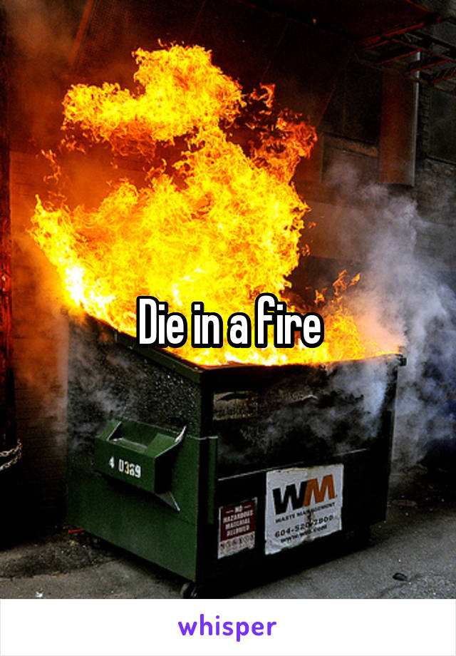 Die in a fire