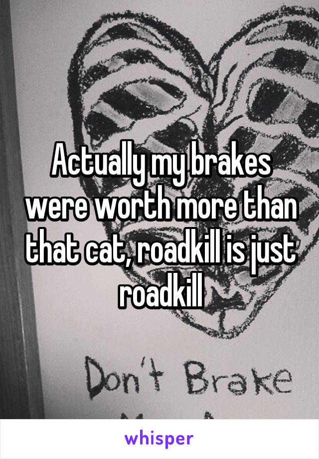 Actually my brakes were worth more than that cat, roadkill is just roadkill