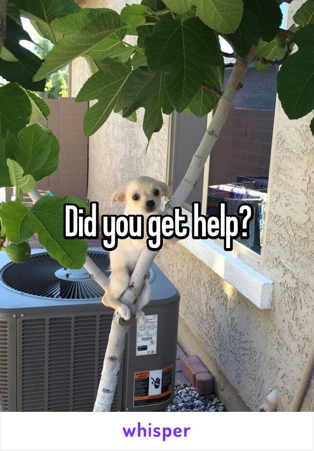 Did you get help?