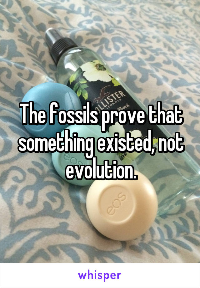 The fossils prove that something existed, not evolution.