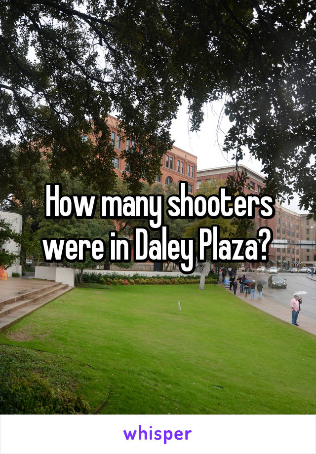 How many shooters were in Daley Plaza? 