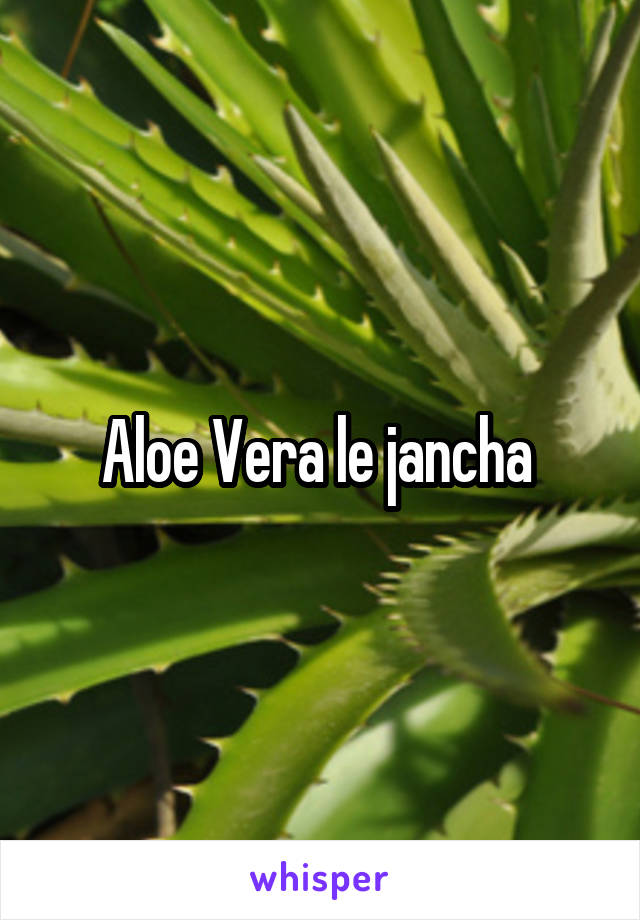 Aloe Vera le jancha 